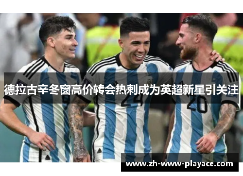 德拉古辛冬窗高价转会热刺成为英超新星引关注